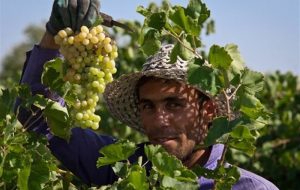 ظرفیتهای کشاورزی و گردشگری خلیلآباد بینظیر است ظرفیتهای کشاورزی و گردشگری خلیلآباد بینظیر است